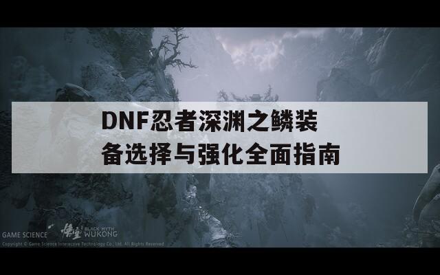 DNF忍者深淵之鱗裝備選擇與強化全面指南