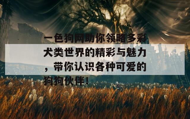 一色狗網(wǎng)助你領(lǐng)略多彩犬類世界的精彩與魅力，帶你認(rèn)識各種可愛的狗狗伙伴！