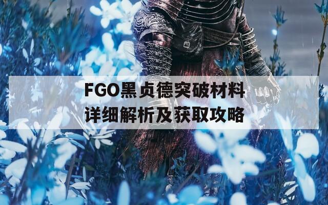 FGO黑貞德突破材料詳細(xì)解析及獲取攻略