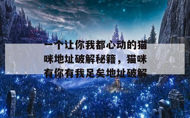 一個讓你我都心動的貓咪地址破解秘籍，貓咪有你有我足矣地址破解