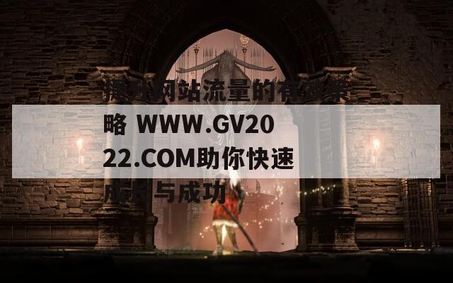 提升網(wǎng)站流量的有效策略 WWW.GV2022.COM助你快速成長(zhǎng)與成功