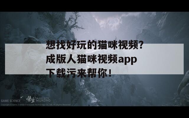 想找好玩的貓咪視頻？成版人貓咪視頻app下載污來幫你！