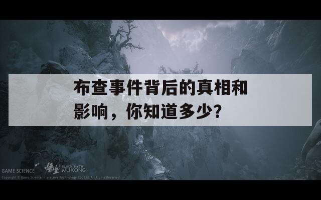 布查事件背后的真相和影響，你知道多少？