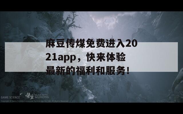 麻豆傳煤免費(fèi)進(jìn)入2021app，快來體驗(yàn)最新的福利和服務(wù)！