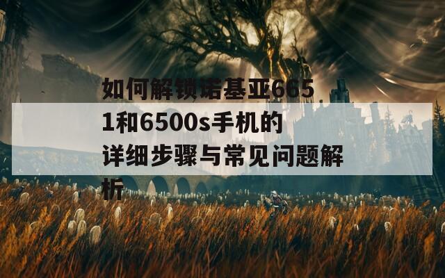 如何解鎖諾基亞6651和6500s手機的詳細步驟與常見問題解析