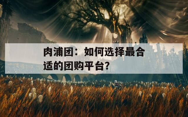 肉浦團(tuán)：如何選擇最合適的團(tuán)購平臺？